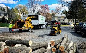 Reliable Kinnelon, NJ Tree Services Solutions